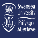http://www.ishallwin.com/Content/ScholarshipImages/127X127/Swansea University-11.png